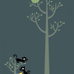 Growing a Plant a for Lunch
