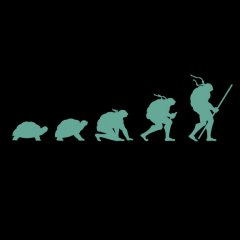 Evolution