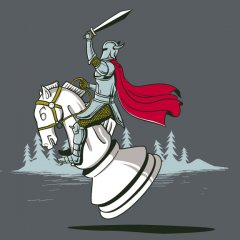 Knight N Knight