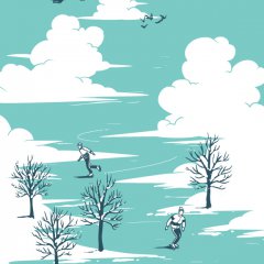 Skating Over