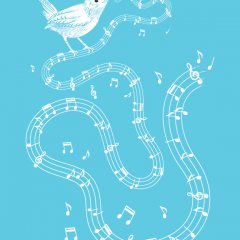 Song Bird