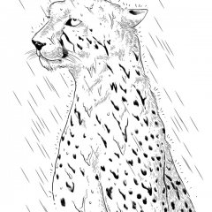 I Hate Raining