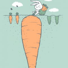 Harvest