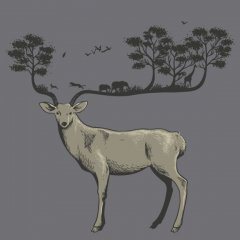 Wild Life
