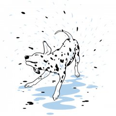 Dalmations Shower Day