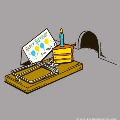 Birthday Celebration