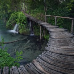 Plitvice heart