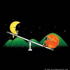 Night And Day