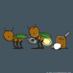 Changing Bulb