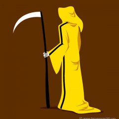 Costume Of Kill