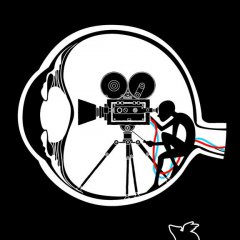 Vision Director