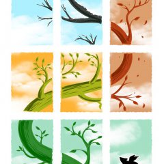 Growth