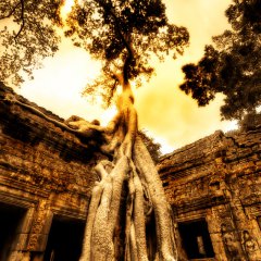 Swallowing the ruins