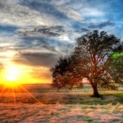 Sunset on a texas farm