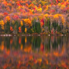 Autumn Reflections