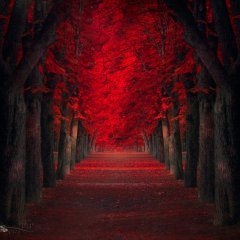 Endless passion