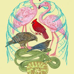 Wild Anatomy II