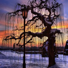 Welcome to 500px!