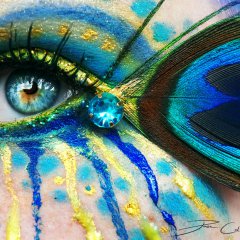 Crazy Peacock