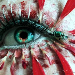 Fly in my eye