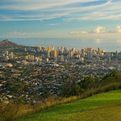 Picnic Over Waikiki