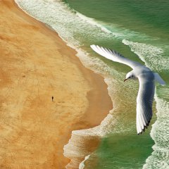 Overflight