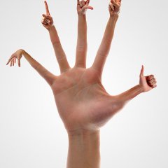 Handsome Hands