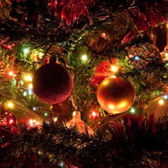 This Christmas