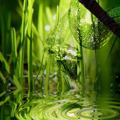 Water Snake