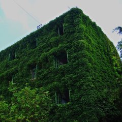 Green building