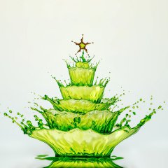 Splashy XMas