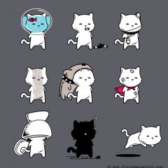 Nine Lives