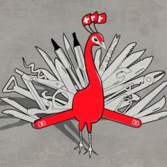 Swiss peacock