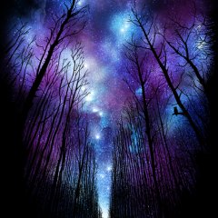Space forest