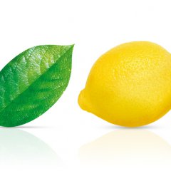 Lemon