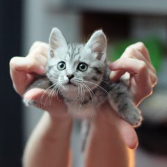 Don't leave me!