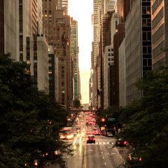 New York, New York
