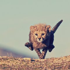 At full speed