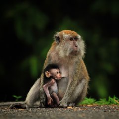 Mother and son