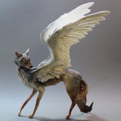 Lady Coyote