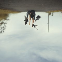 Day 286/366 - upon the earth