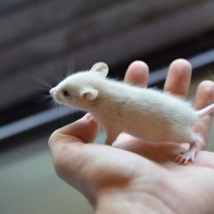 welcome to the world.