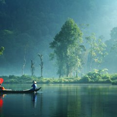 Silent Morning