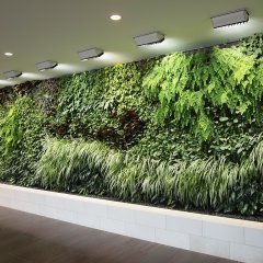 I make living walls