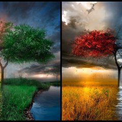 4 seasons