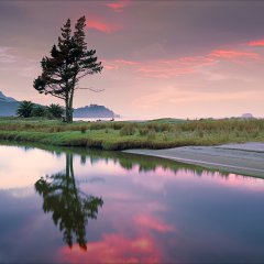 Mercury Bay Sunrise