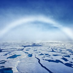 White Rainbow