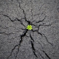power of nature