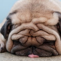 ZZZzzz