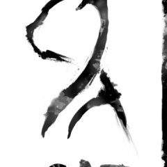 Cat Typography